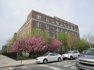 P.S. 122 - The Mamie Fay School